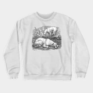 Polar Bear Black & White Illustration Crewneck Sweatshirt